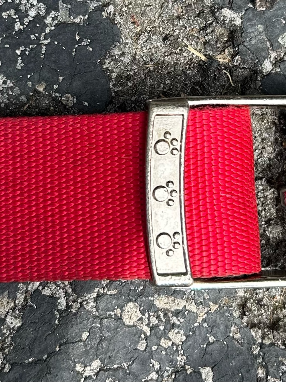 Red Nylon Dog Collar with Paw-Print Metal Slide